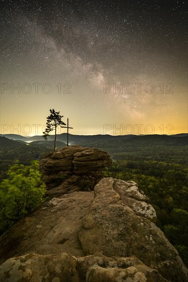 Palatinate Forest