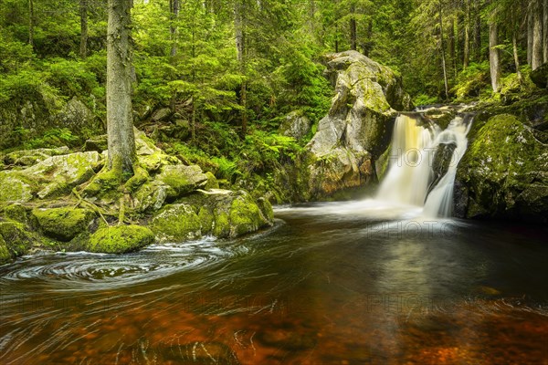 The Schwarzenbaechle stream pours in a waterfall into the Kroi-Woog-Gumpen pond