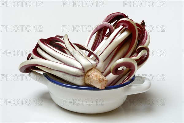 Radicchio in shell