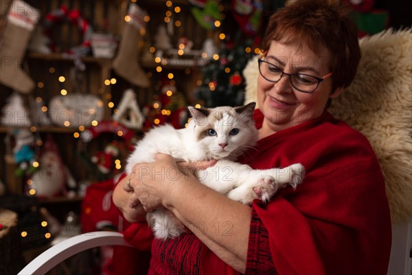 Grandmother is sitting on a rocking chair with a cat against the backdrop of Christmas arrangement. In studio