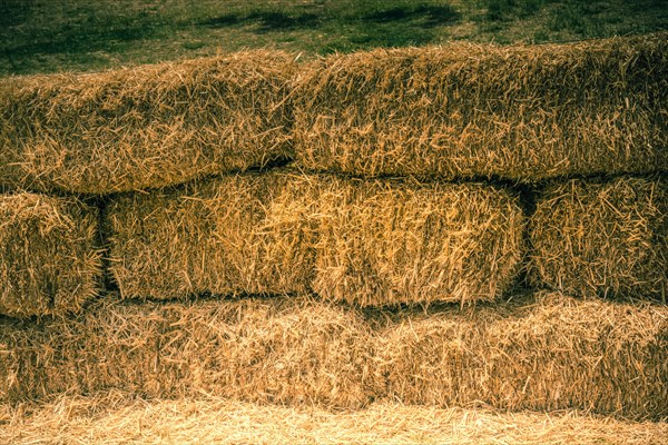 Hay bales stacks outdoors