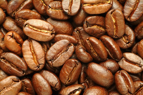 Roasted coffee beans