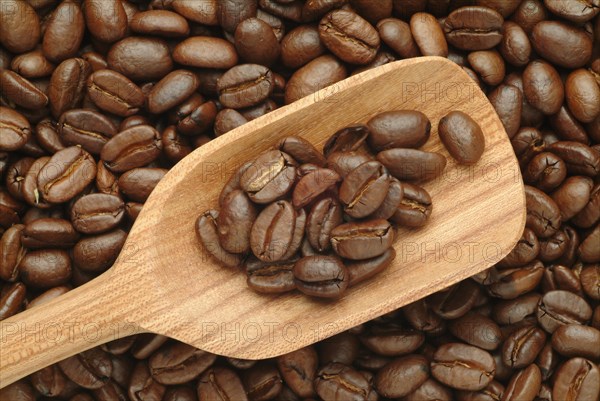 Roasted coffee beans