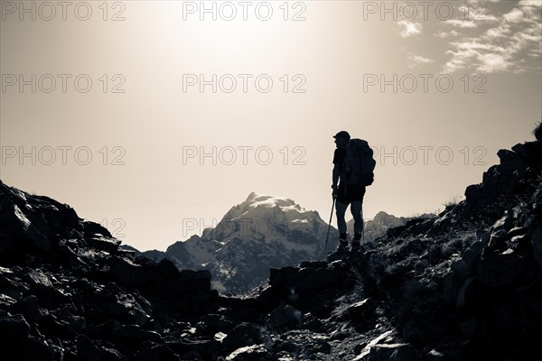 Mountaineers in the backlight in front of the Ortler summit massif