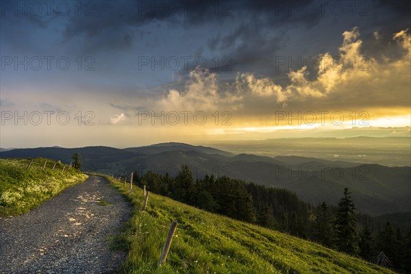 Hilly landscape with a hiking trail