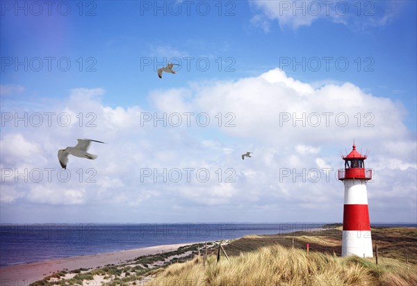 Lighthouse and dunes at the elbow