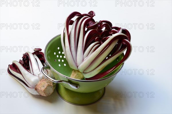 Radicchio