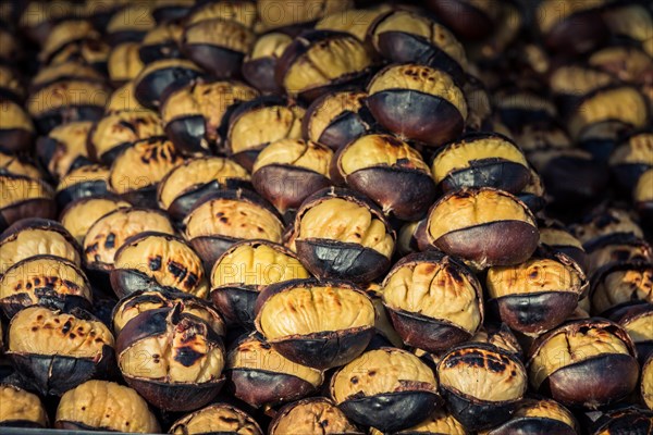 Organic brown chestnuts roasted over a hot fire