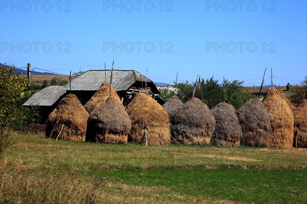 Farming in the Maramures