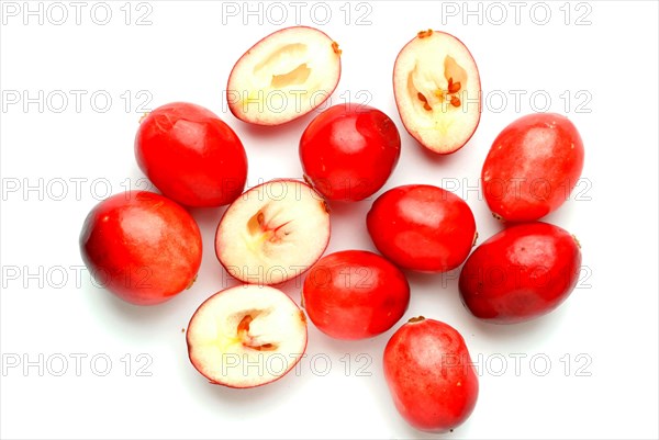 Ripe fruits of the cranberry