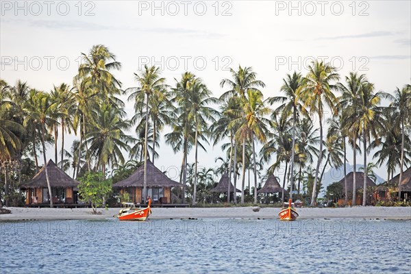 Palm grove and bungalows at Sivalai Resort