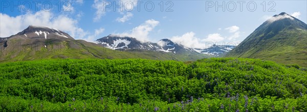 Green landscape and snow-capped mountains