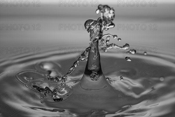 Macro Water Drop