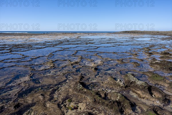 Coast and beach at low tide