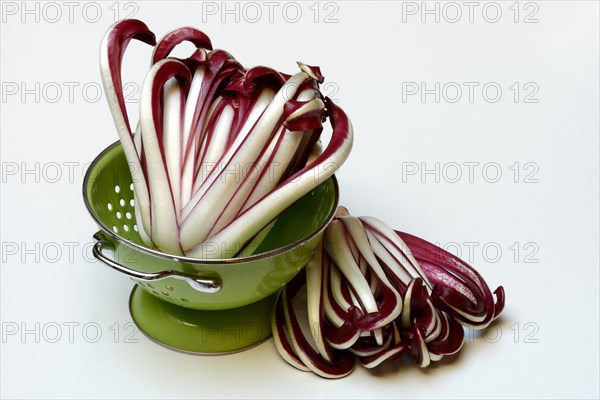 Radicchio