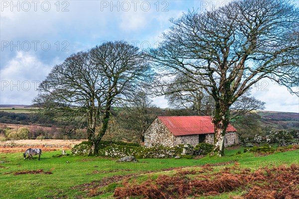 Panorama of Emsworthy Mire