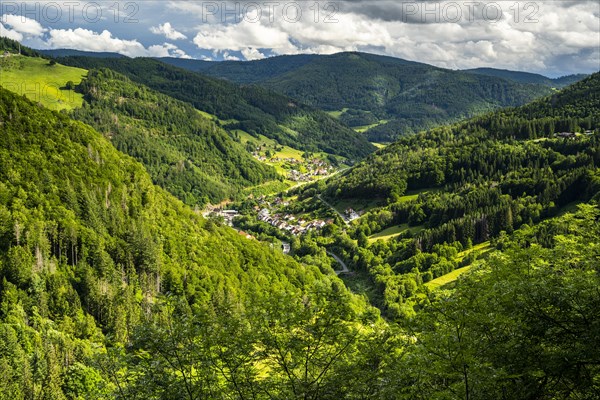 View of Todtnau