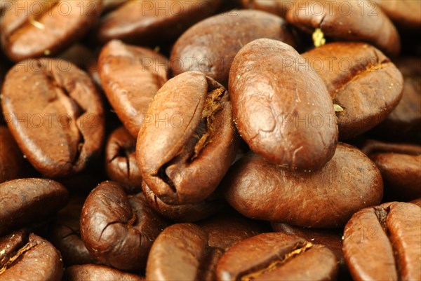 Roasted coffee beans