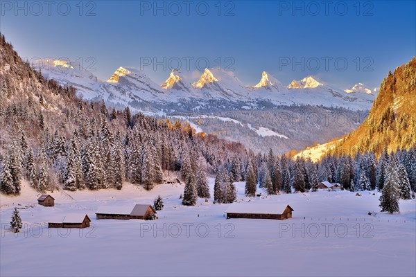 Toggenburg in winter