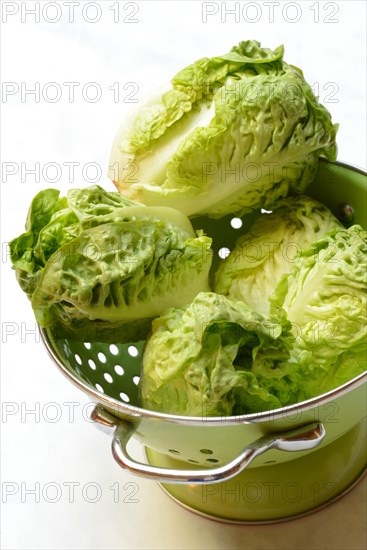 Baby Salad in Kitchen Strainer