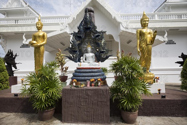 Temple Wat Tham Khuha Sawan near Mekong River