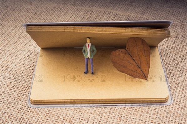 Figurine with a bdry leaf on a notebook on canvas