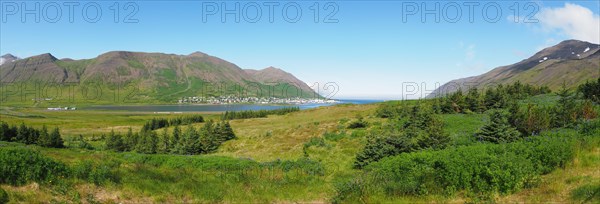 Blue sky over fjord