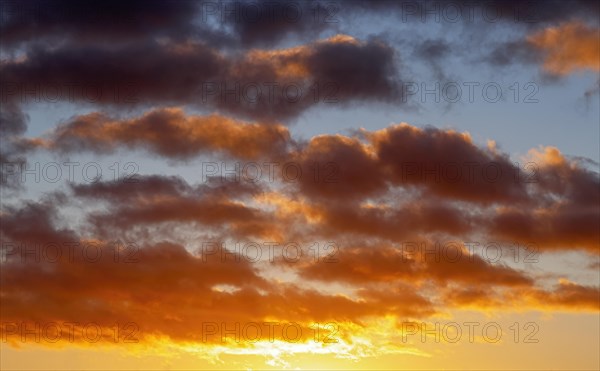 Dramatic evening sky with clouds at sunset