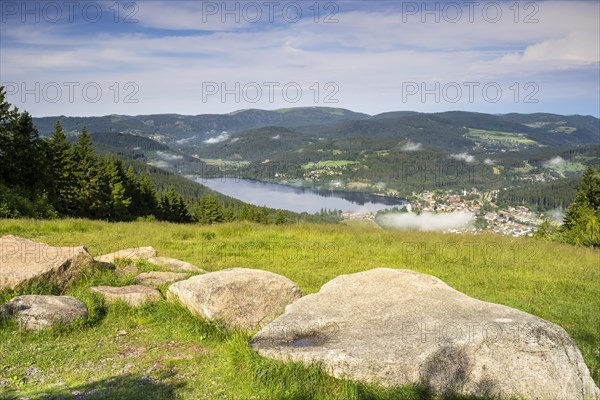 Landscape with meadows