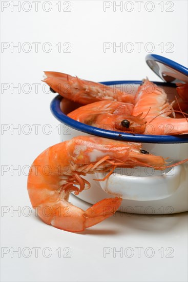 Cooked prawns in pot