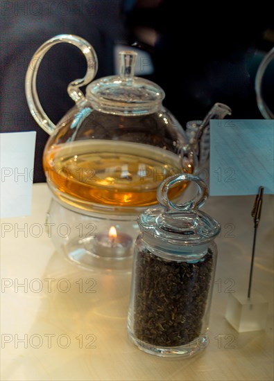 Herbal tea brewed in glass teapot and tea plant in a bottle