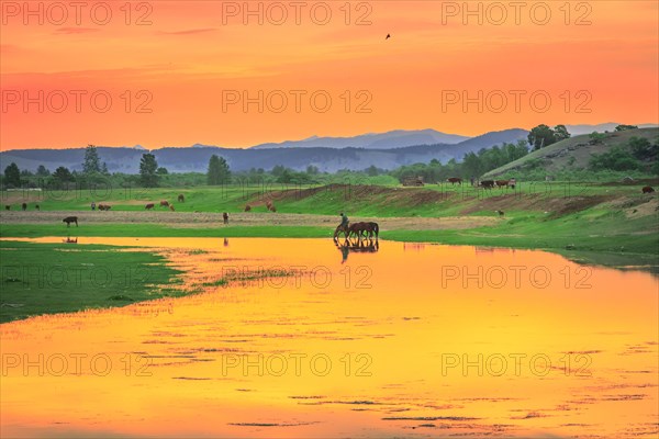 Morning colour on the banks of the Selenge River. Bulgan Province