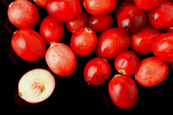 Ripe fruits of the cranberry