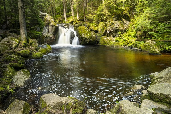 The Schwarzenbaechle stream pours in a waterfall into the Kroi-Woog-Gumpen pond