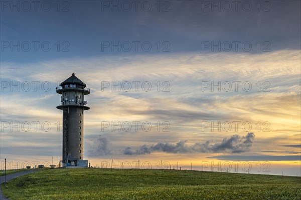 The Feldberg tower with a meadow of flowers at sunset