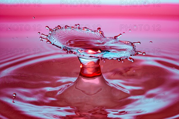 Macro Water Drop