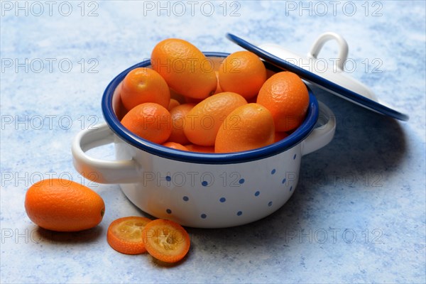 Kumquat