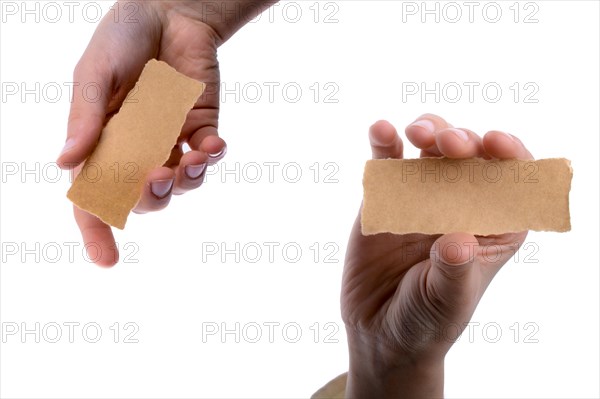 Hand holding a piece of blank torn notepaper