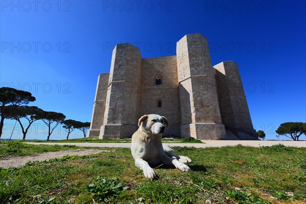 Castel del Monte