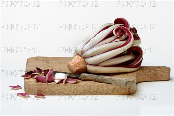 Radicchio