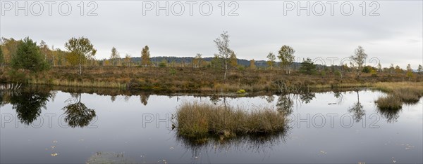 Autumn in the Kendlmuehlfilzen high moor