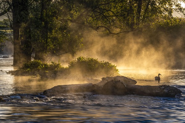 Sunrise and morning fog in the Ruhrauen near Echthauser Weir