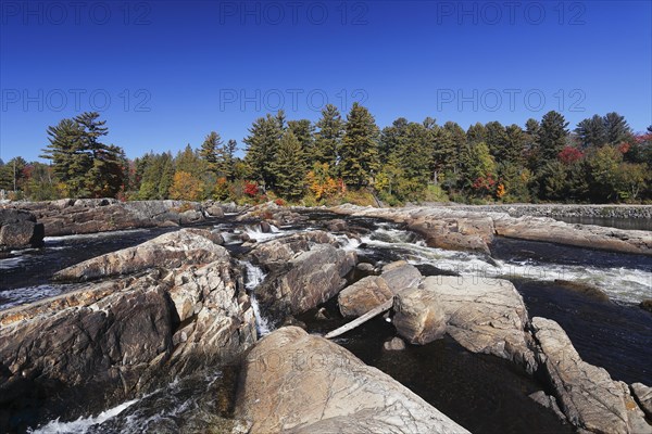 Parc des Cascades