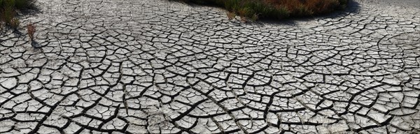 Dried mud in the agune of Venice