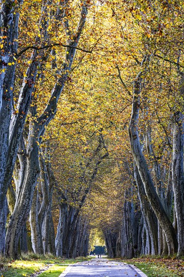 Autumn in the Lower Palace Garden