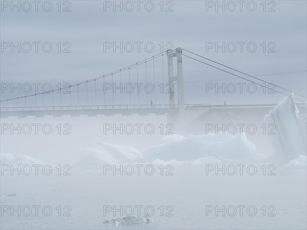 Landscape in the fog