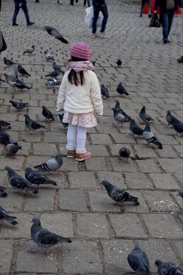 Little girl amid grey pigeons live in large groups in urban environment