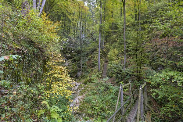 Climbing installation in the Kesselfallklamm