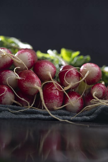 Radish