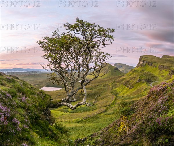 View of rocky landscape Quiraing at sunrise